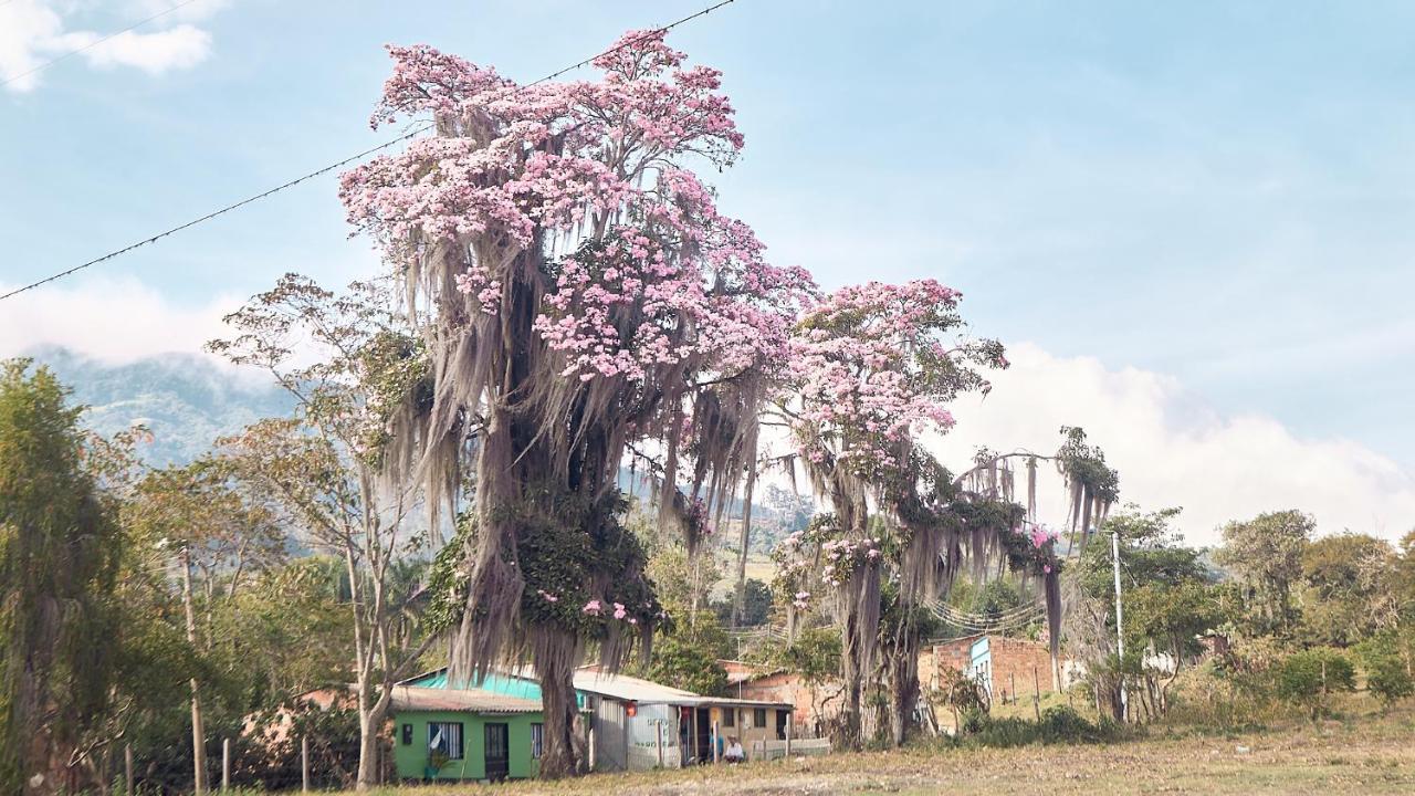 Macua Villa Chipata Bagian luar foto