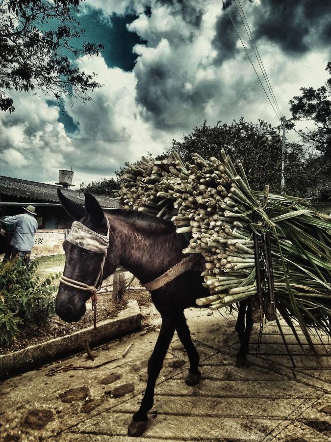 Macua Villa Chipata Bagian luar foto