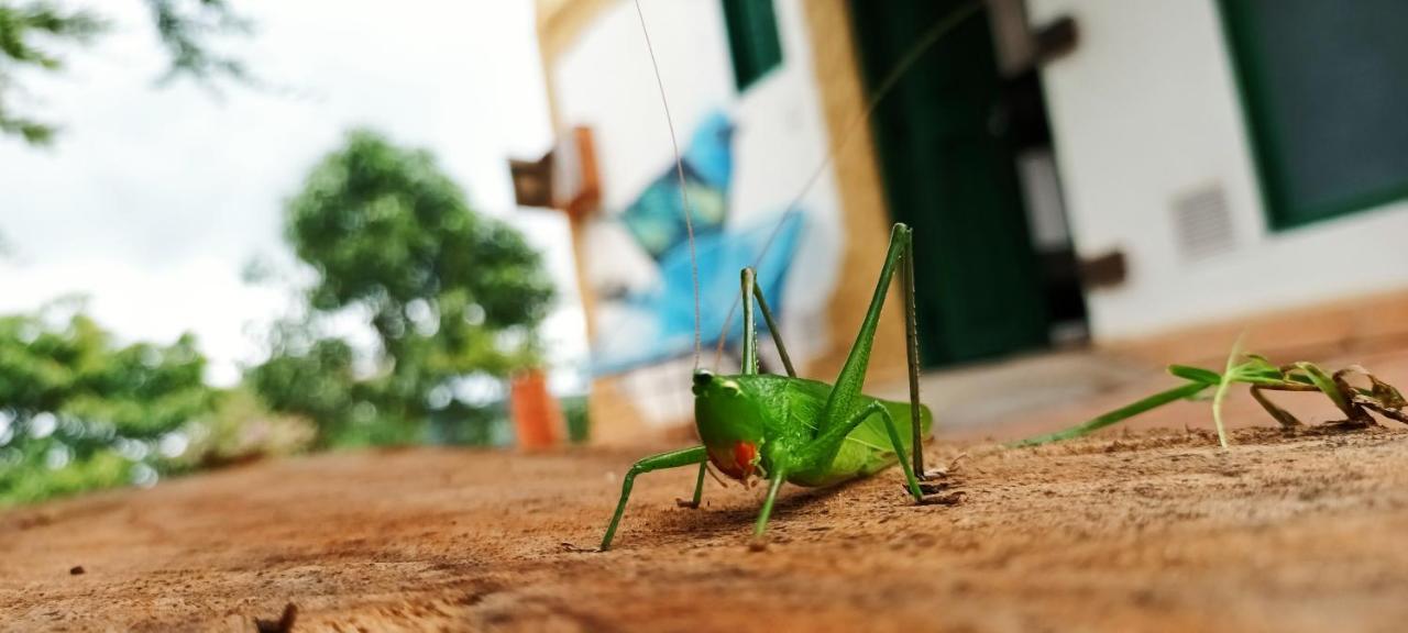 Macua Villa Chipata Bagian luar foto